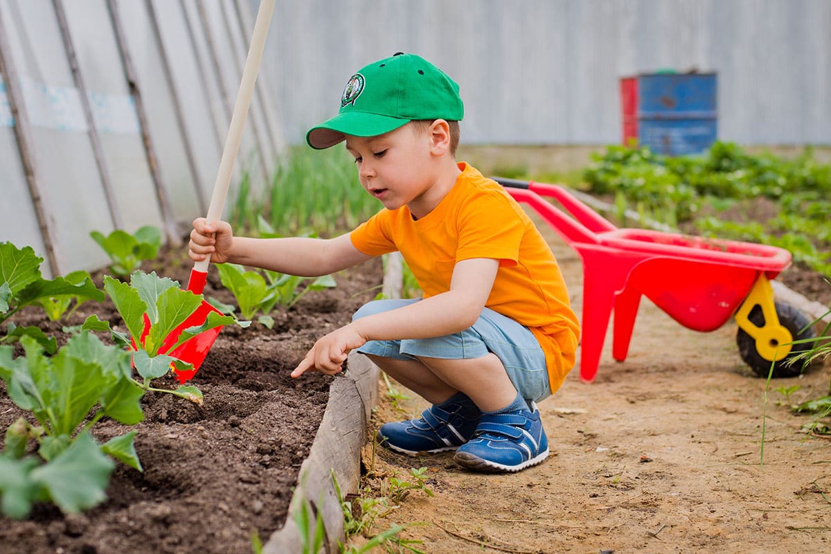 early-gardening-education-for-a-healthy-head-start